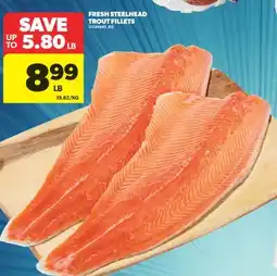 Real Canadian Superstore FRESH STEELHEAD TROUT FILLETS offer