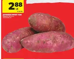 Real Canadian Superstore JAPANESE SWEET YAM offer