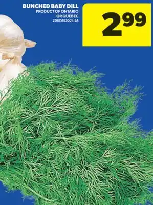 Real Canadian Superstore BUNCHED BABY DILL offer