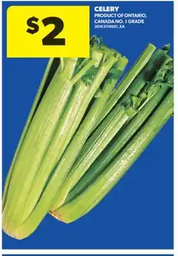 Real Canadian Superstore CELERY offer