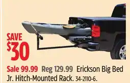 Canadian Tire Erickson Big Bed Jr offer