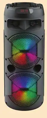 Canadian Tire Vivitar Portable Bluetooth Party Speaker offer