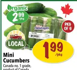 Farm Boy Mini Cucumbers offer