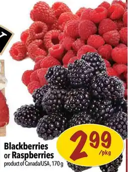 Farm Boy Blackberries or Raspberries offer