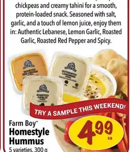 Farm Boy Farm Boy Homestyle Hummus offer