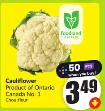 FreshCo Cauliflower Product of Ontario Canada No. 1 offer