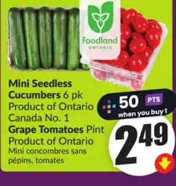 Chalo FreshCo Mini Seedless Cucumbers 6 pk Product of Ontario Canada No. 1 Grape Tomatoes Pint Product of Ontario offer