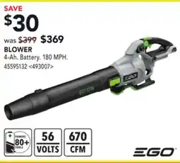 RONA BLOWER offer