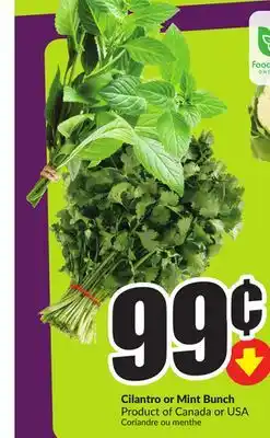Chalo FreshCo Cilantro or Mint Bunch Product of Canada or USA offer
