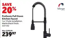 Home Hardware Professio Pull Down Kitchen Faucet offer