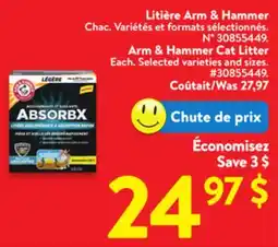 Walmart Arm & Hammer Cat Liter offer