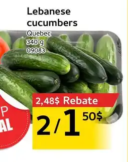 Mayrand Lebanese cucumbers offer
