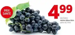 Avril Raisins bleus bios offer