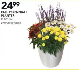 RONA FALL PERENNIALS PLANTER offer