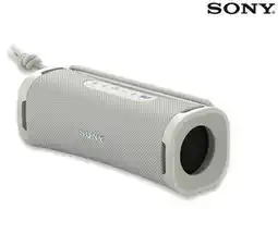 Walmart Sony Wireless Bluetooth Portable Speaker offer
