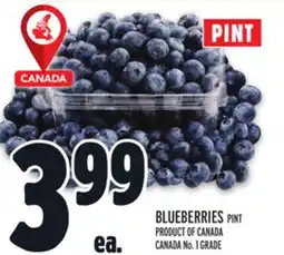 Metro BLUEBERRIES offer