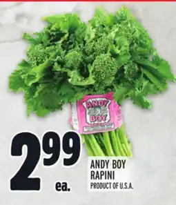 Metro ANDY BOY RAPINI offer