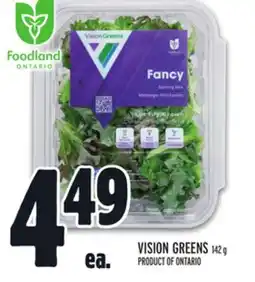 Metro VISION GREENS offer