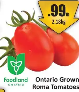 Starsky Roma Tomatoes offer