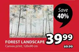 JYSK Forest Landscape Canvas print offer