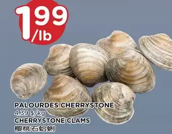 Kim Phat CHERRYSTONE CLAMS offer