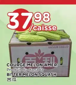 Kim Phat BITTER MELON SQUASH offer