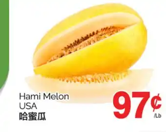 T&T Supermarket HAMI MELON offer