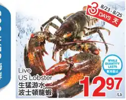 T&T Supermarket LIVE US LOBSTER offer