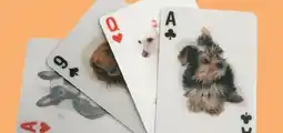 Party City 3D Dog Playing Cards offer