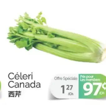 T&T Supermarket CÉLERI offer