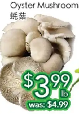 Ample Food Market Oyster Mushroom offer