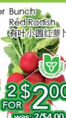 Ample Food Market Bunch Red Radish offer