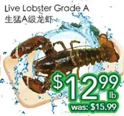 Ample Food Market Live Lobster Grade A offer