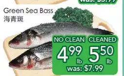 Ample Food Market Green Sea Bass offer