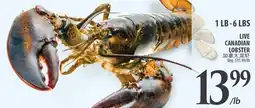 Al Premium Food Mart Live canadian lobster offer