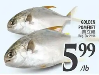 Al Premium Food Mart Golden pomfret offer