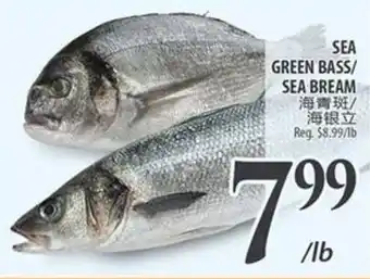 Al Premium Food Mart Sea green bass/ sea bream offer