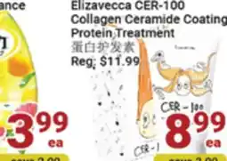 Elizavecca CER - 100 Collagen Ceramide Coasting Protein Treatment