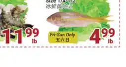 Oceans Fresh Food Market Frozen Yellow Tail Snapper offer