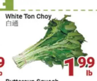 Oceans Fresh Food Market White Ton Choy offer
