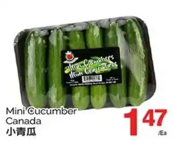 T&T Supermarket Mini Cucumber Canada offer