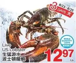 T&T Supermarket Live US Lobster offer