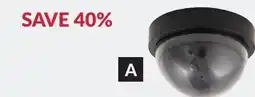 Princess Auto Decoy Cameras offer