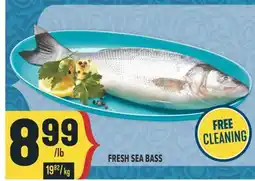 Marché Adonis FRESH SEA BASS offer