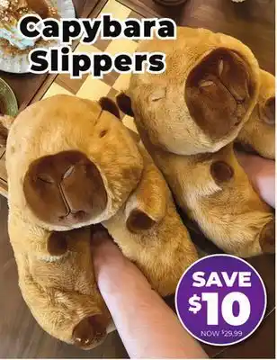 Showcase Capybara Slippers offer