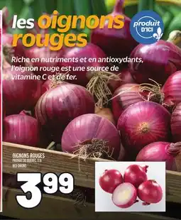 Metro OIGNONS ROUGES | RED ONIONS offer