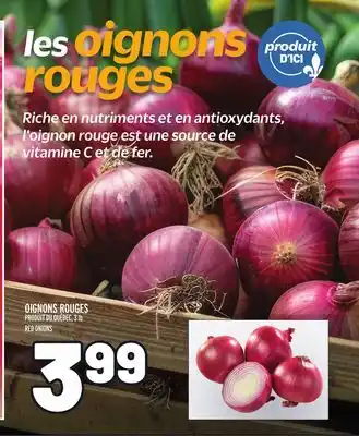 Metro OIGNONS ROUGES | RED ONIONS offer