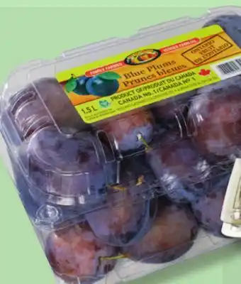 IGA BLUE PLUMS offer