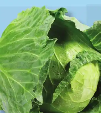 IGA GREEN CABBAGE offer