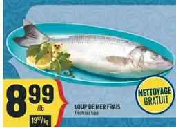 Marché Adonis LOUP DE MER FRAIS | FRESH SEA BASS offer